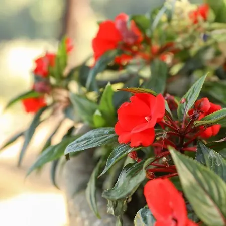 Ferienhaus Quintinha Laranjeiras Santa Cruz do Douro