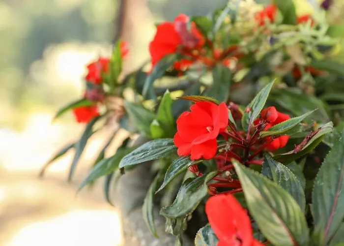 Dom wakacyjny Quintinha Laranjeiras Santa Cruz do Douro